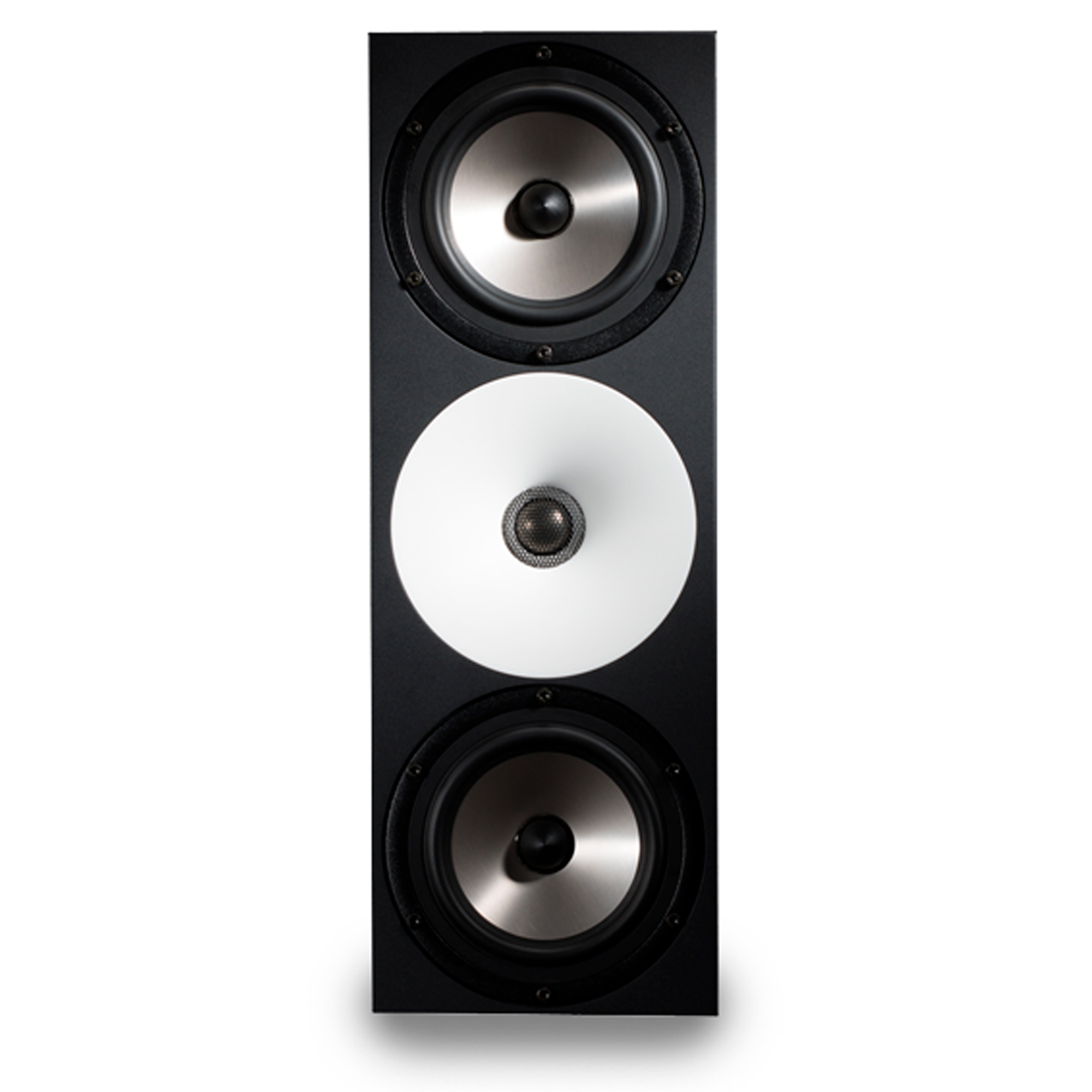 Amphion Two15 - PAR