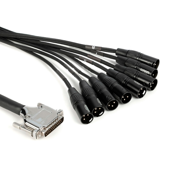 WA-GOTHAM DB25 a XLRM – Audio Gate International
